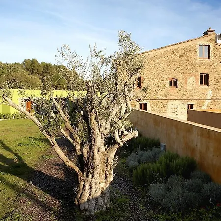 Hotel Rvhotels Ses Arrels 4*